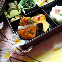 Snapdishの料理写真:お花見松花堂弁当|桂さん