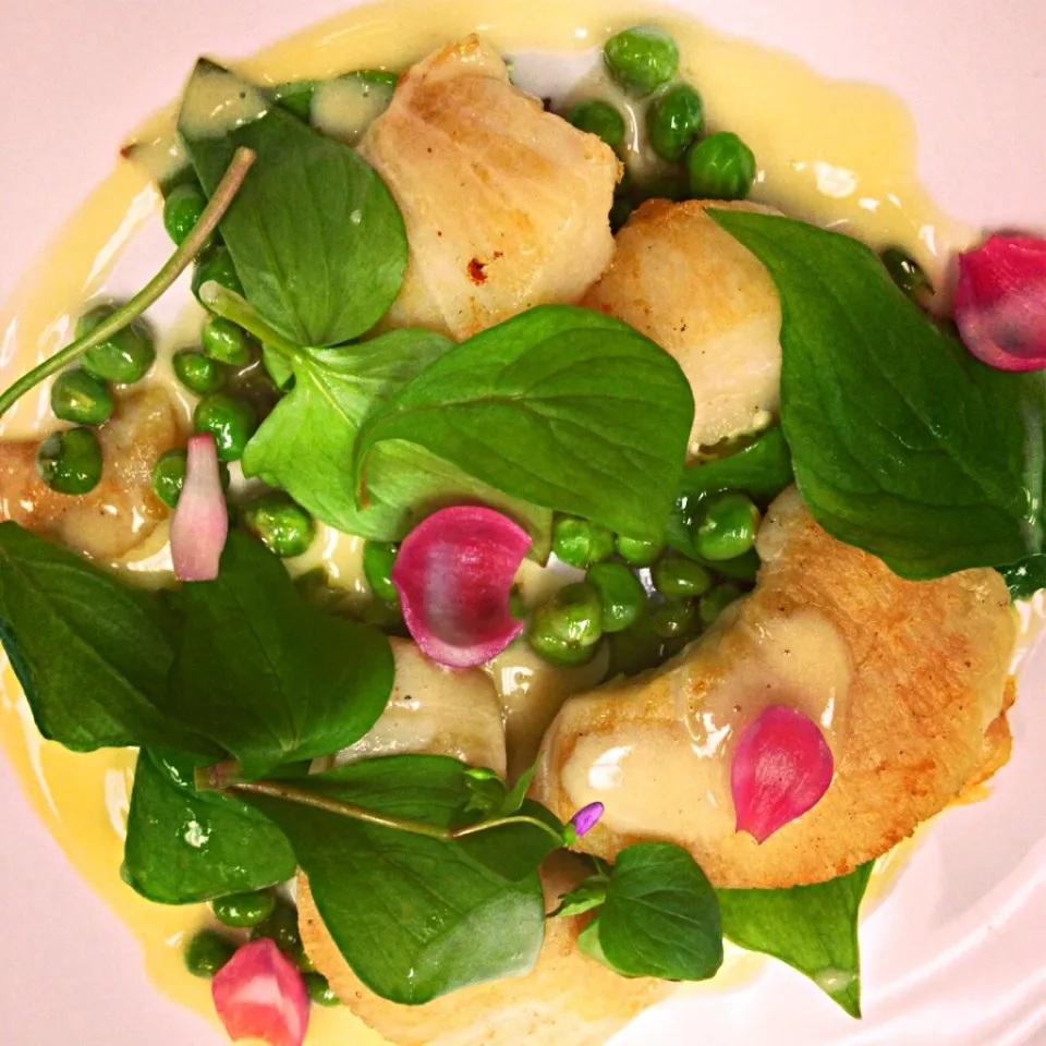 Brown butter braised halibut cheeks, peas, miners lettuce, ginger sauce|andrew franciscoさん