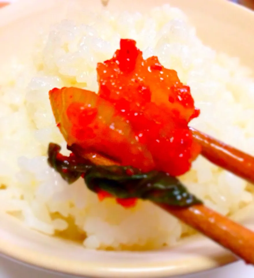 セロリキムチ、炊きたてごはんといただきます🍚(๑´ㅂ`๑)♪|キミーさん