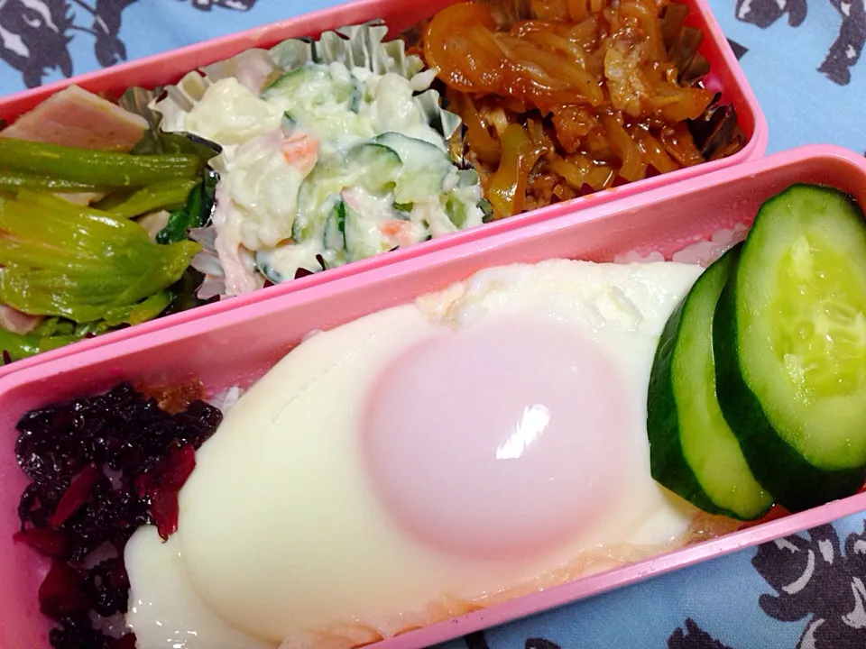 260407娘のお弁当|お料理パパさん