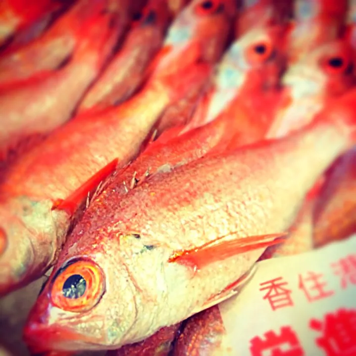 Snapdishの料理写真:但馬・香住港で水揚げされたのどぐろ！セリ落としたぜぇ〜！|Takashi Sekiさん