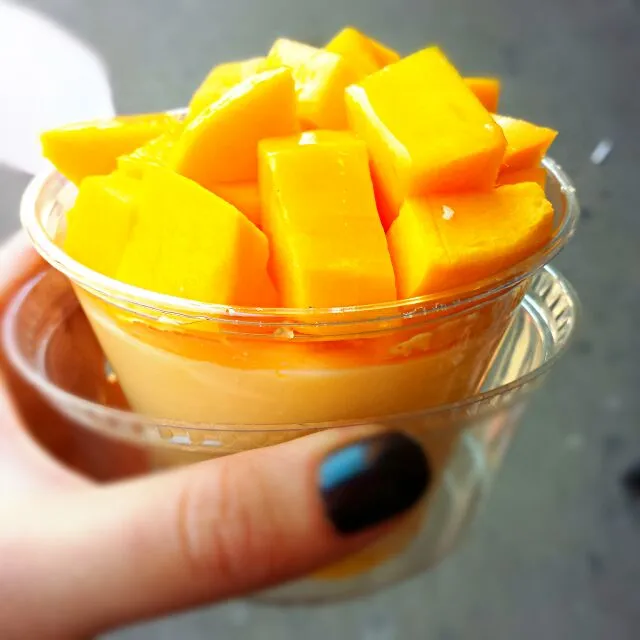 Mango pudding|Kompeito_cooksさん