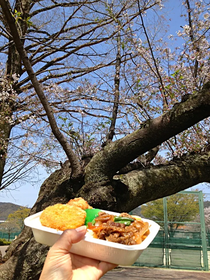 今日は急遽ほっともっとのお弁当|あくびさん