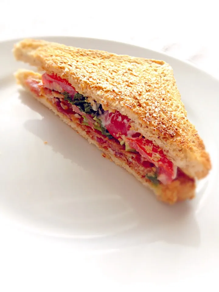 Mayonnaise with tomato sandwich|Panuwanさん