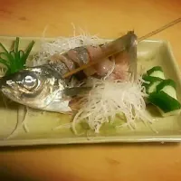 鯵のたたき|はーさん