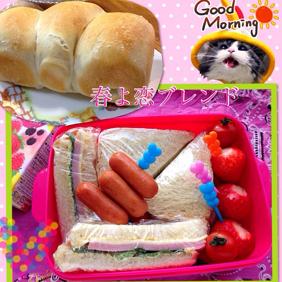 Snapdishの料理写真:手作りパンでハムサンド弁当♥︎|Blueberry🫐さん