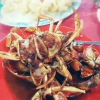 kepiting saus padang
@kalimati
wt.Afen ^_^ 02032014|lukman ndoleさん