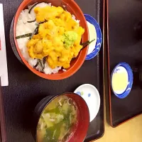 Snapdishの料理写真:ウニ丼|櫻田彩さん