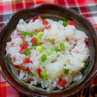 Snapdishの料理写真:梅しらすご飯|Ｙｕｋｉ♡さん