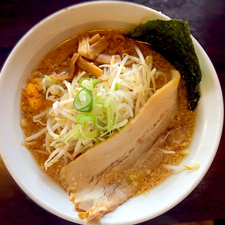 てらじ とんこつ醤油ラーメン|nanpuuさん