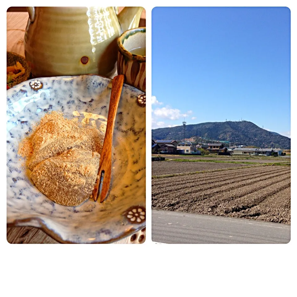 わらび餅と山菜が採れた山|あきらさん