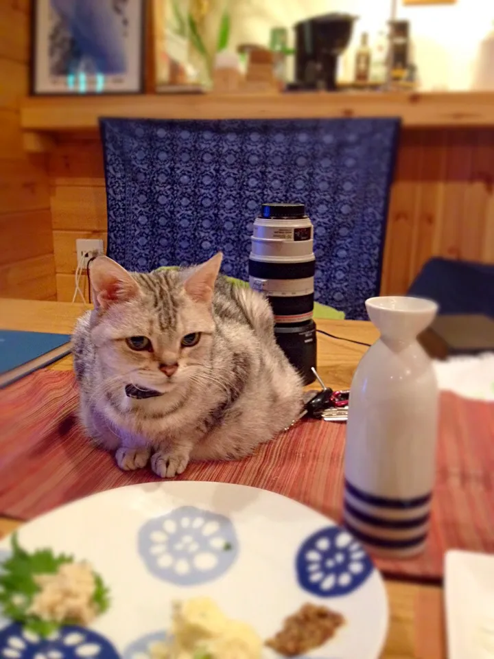 晩酌の伴|まんどしゃさん