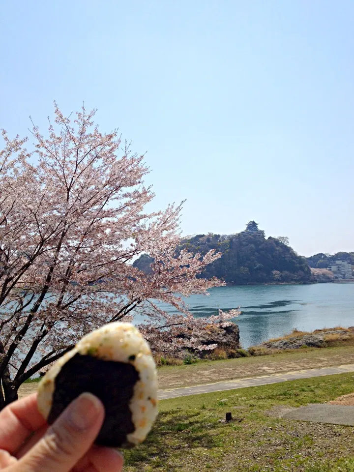 今日はおにぎり 4月9日☀|あくびさん