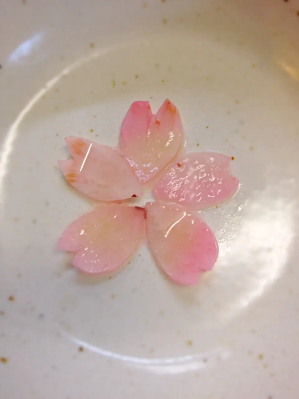 Snapdishの料理写真:花びら大根   綺麗に染まりました！|料理長さん