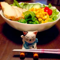 Snapdishの料理写真:夕食サラダと猫ちゃん箸置き