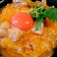 Snapdishの料理写真:親子丼|yukiko aさん