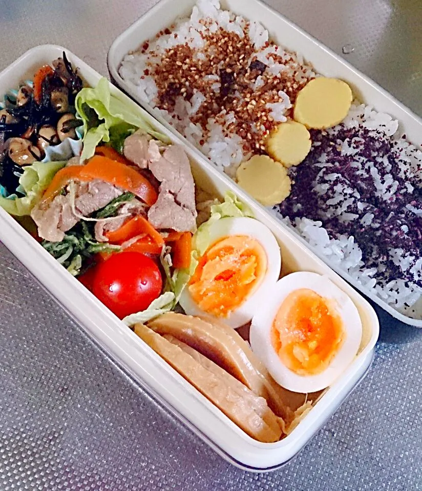 Snapdishの料理写真:4月10日 パパのお弁当|かなこさん