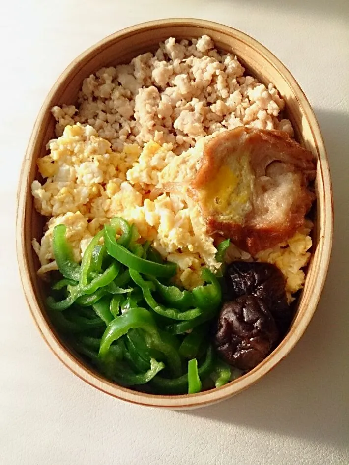 三色そぼろ弁当 今日のパパ弁当
鶏のひき肉そぼろ、ピーマンの胡麻油塩炒め、いりたまご、夕べの残り油麩の卵とじ、ミニ干し椎茸の佃煮等でした。|とだともさん