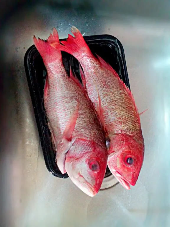 Snapdishの料理写真:Red Snapper clean Ready for grill Tomorrow|Yari Gonzálezさん