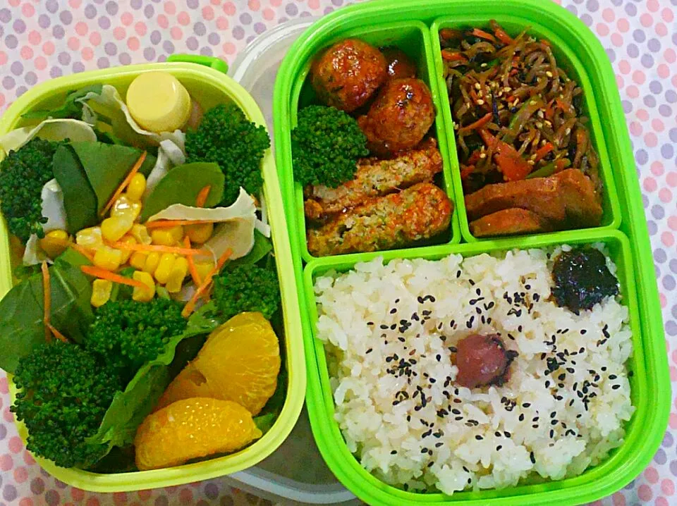 Snapdishの料理写真:パパ 'sお弁当|亜依さん