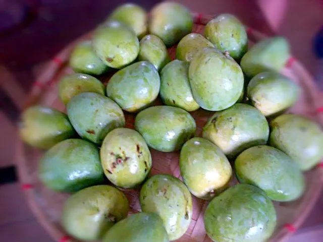 Philippine Fruit this very Popular Filipinos called this Indian Mango Fruit But I'M Not sure if they have this Kind of Mango|Dan Alfred Garcia Madriagaさん