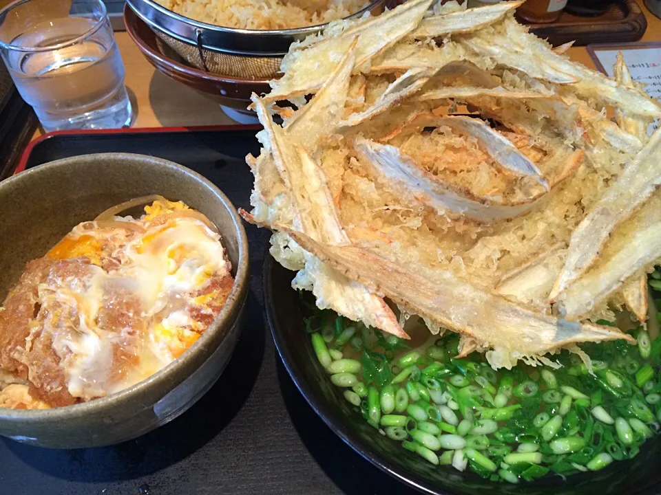 Snapdishの料理写真:ごぼう天うどん＋ミニカツ丼|Rewoさん