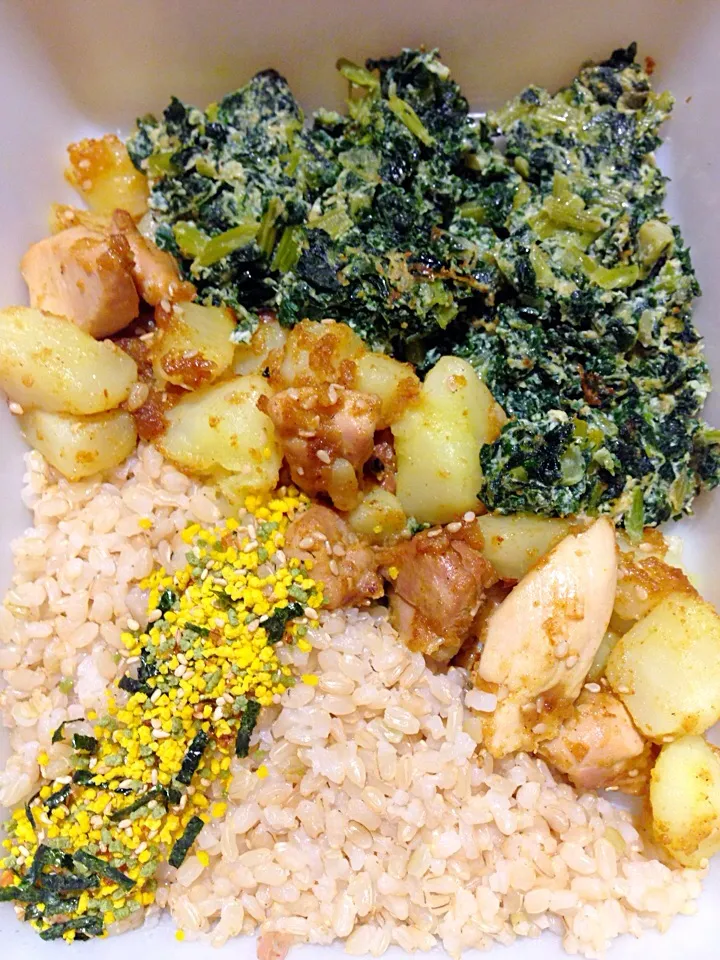 Bento lunch: brown rice, furikake, chicken and potato curry, kale omelet, and a side of bonito flakes (not shown )|Cheryl Melnickさん