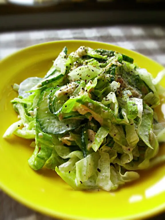 レタスときゅうりとツナのマヨサラダ|Sachiyo Tanakaさん