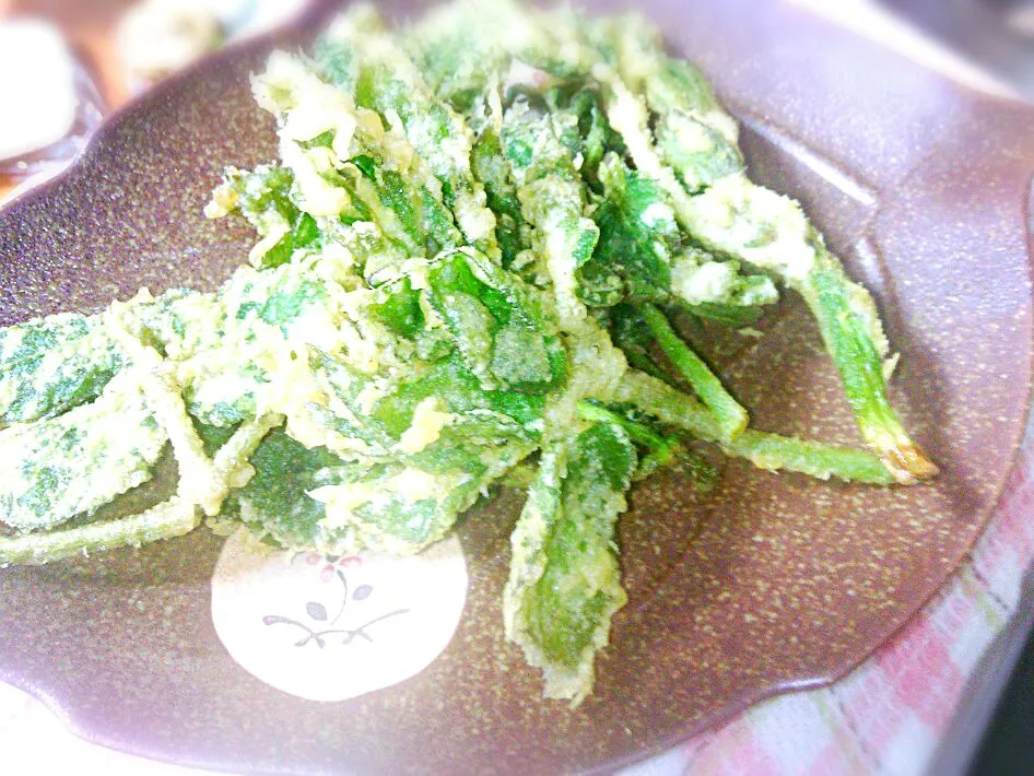 Snapdishの料理写真:山ウドの葉の天麩羅|さとりさん