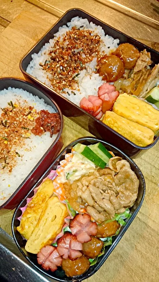 旦那、子供弁当

ウインナー
ミートボール
玉子焼き
豚の生姜焼き
ポテサラ
きゅうり|梨花さん