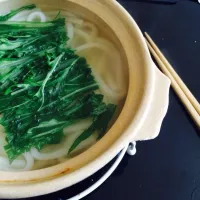 さらに貧相なうどん|こまいさん