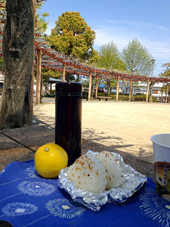 今日はごま塩おにぎり 4月11日☀|あくびさん