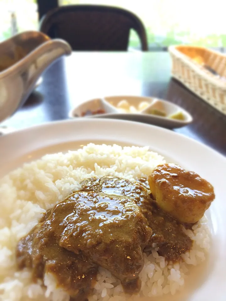 中村屋のインドカレー|Bettyさん