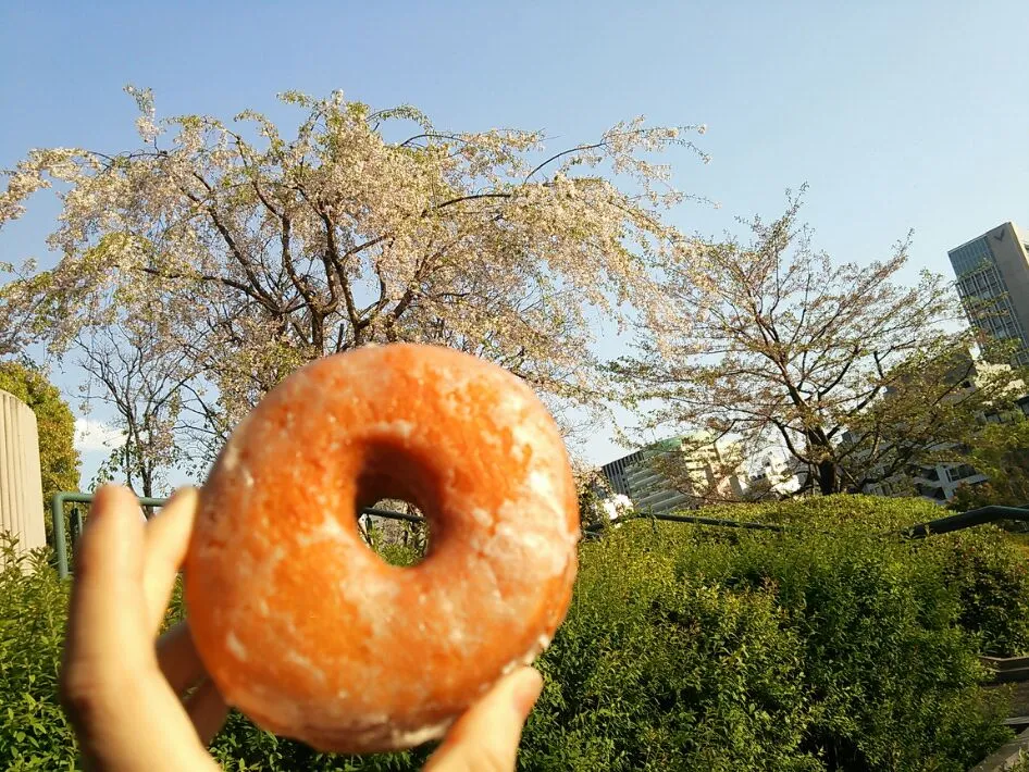 Snapdishの料理写真:花見ドーナツ|トミーサクさん