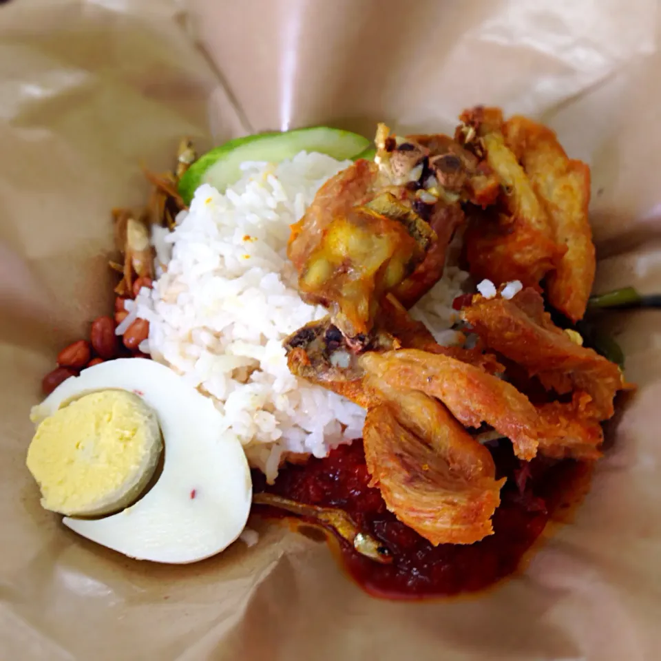 Nasi lemak|willzさん