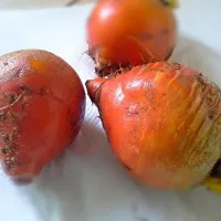 Golden beets ready to be roasted