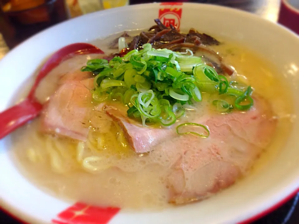 ラーメン凪  豚王@渋谷|かっちっさん