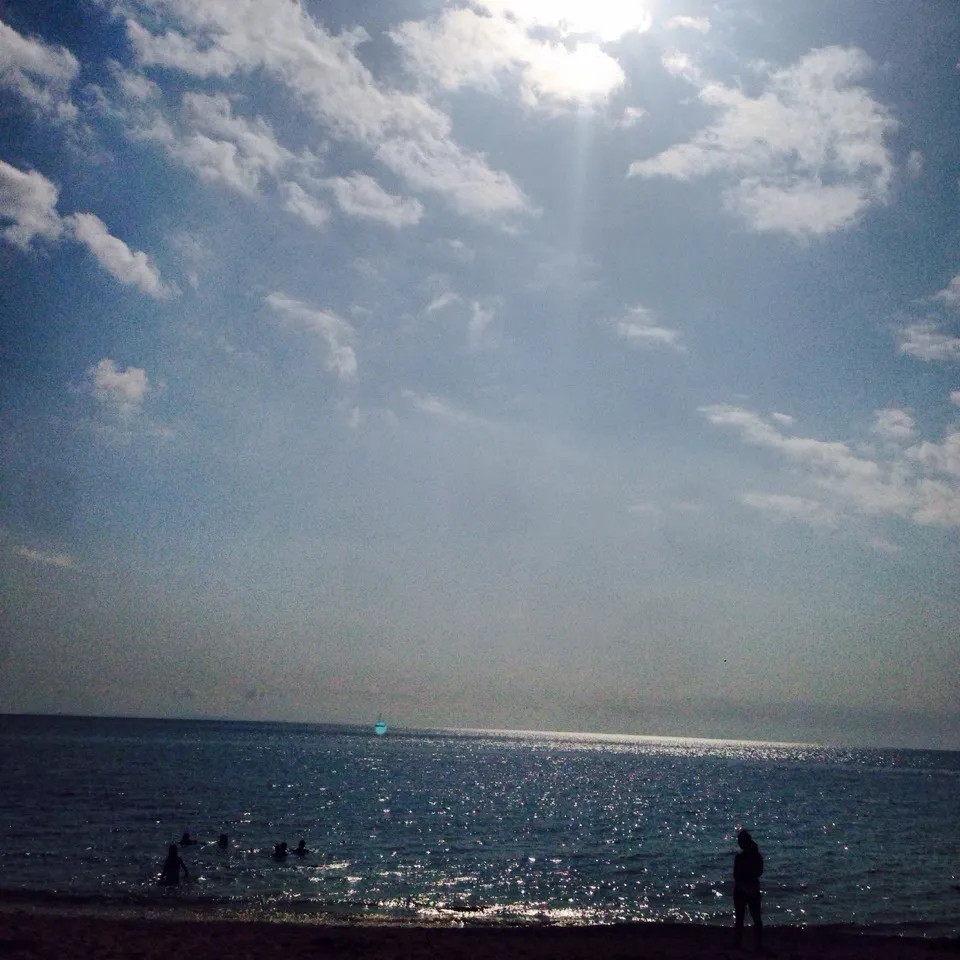 食べ物じゃなくてごめんなさいσ(^_^;) 夏日だった今日のビーチは、沢山の人で賑わっておりましたほ|sampさん