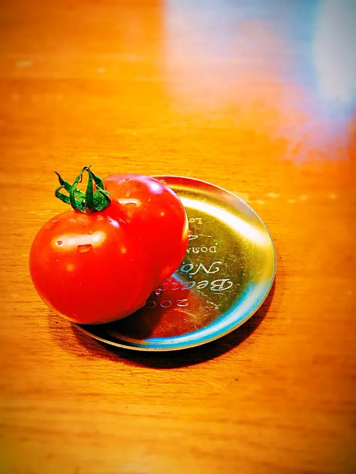 Two tomatoes fused together 💕|Leahさん