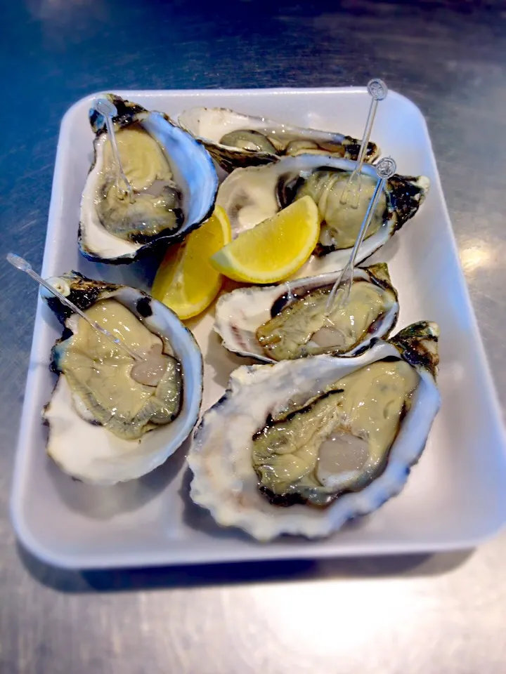 Fresh oysters!|shermaineさん