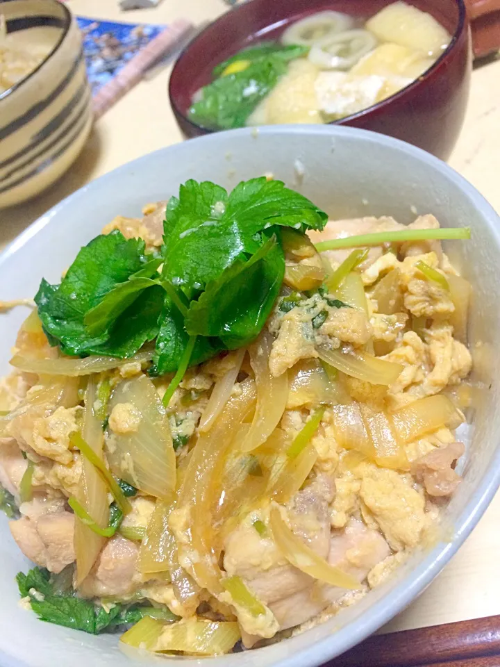 親子丼、豆腐と油揚げの味噌汁、もやしナムル|はしもさん