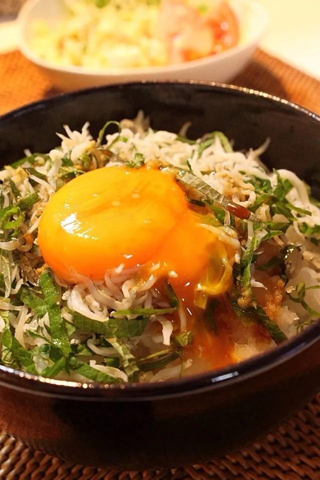 Snapdishの料理写真:またまたしらすおろし丼|はさん