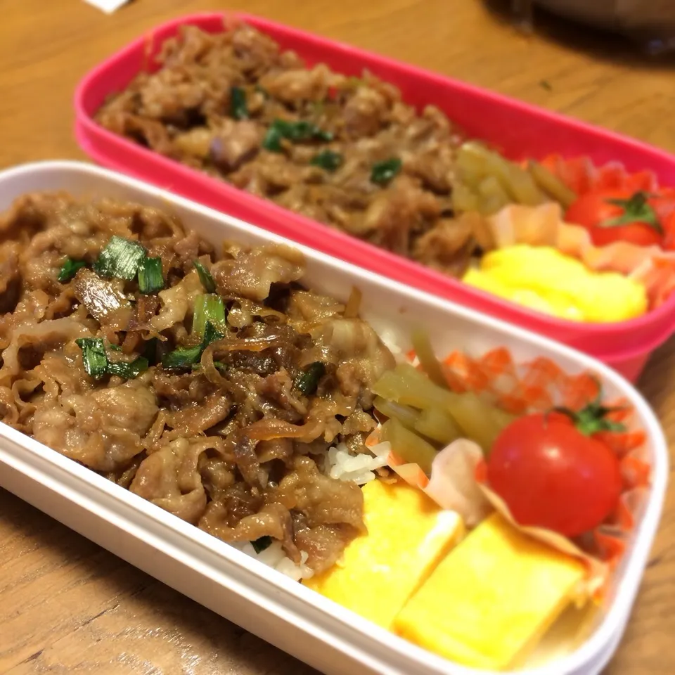 Snapdishの料理写真:高校生 娘たちのお弁当🎵|nananorimamさん