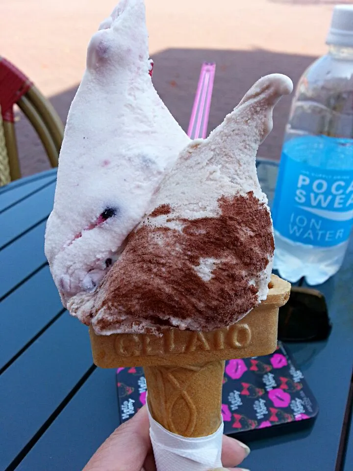 Snapdishの料理写真:vito italian gelato ice cram#teramisu#berry berry berry|Miki Jorierose Obispoさん