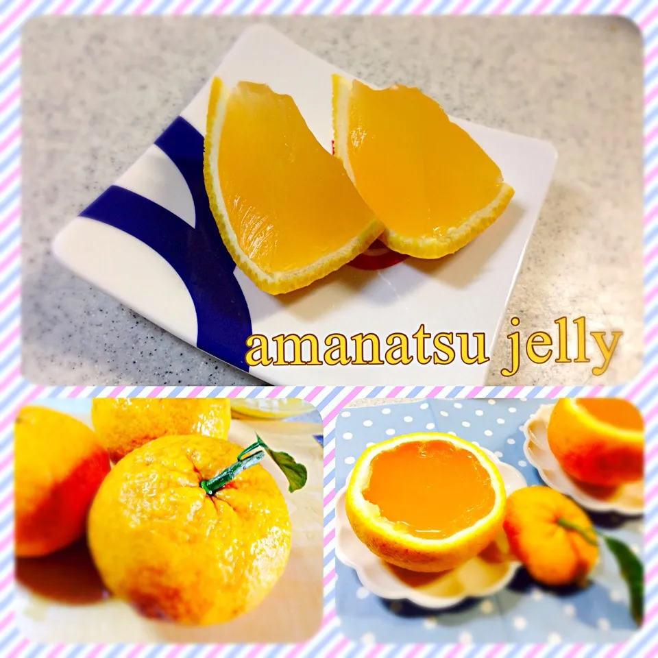 Snapdishの料理写真:甘夏ゼリー🍊|sho_shoさん