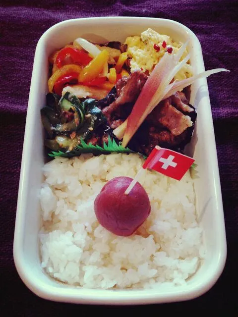 Snapdishの料理写真:今日の自分弁当(でっかい日の丸！)|まいまいさん