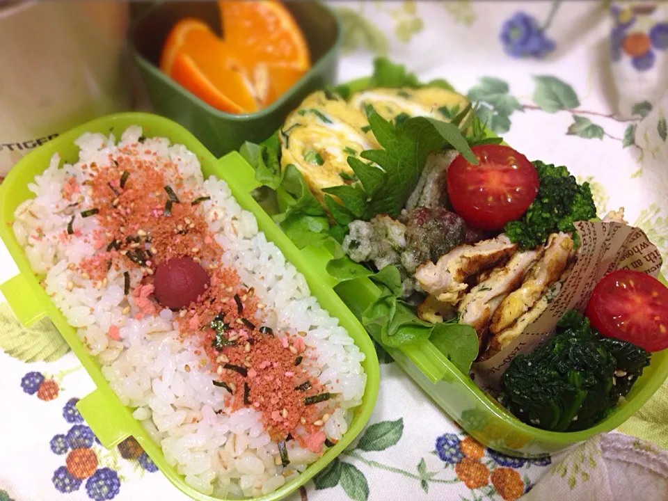 Snapdishの料理写真:蛸と山芋のコロコロ磯辺揚げとポークピカタ弁当〜꒰*´∀`*꒱|りぉりぉ꒰•‧̫•ू꒱さん