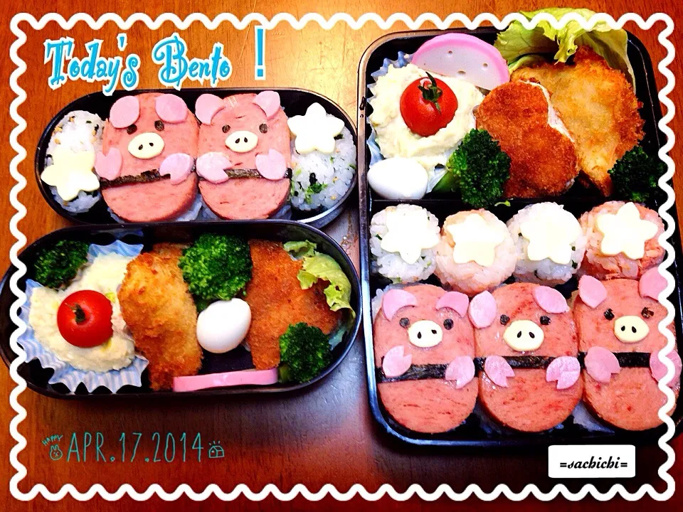 Today's Bento!|Sachichi♪さん