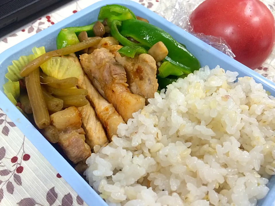 ひさびさお弁当。豚ロースの焼いたの、ピーマンとしめじの炒め、ふきのきんぴら、トマト丸かじり。|liccaさん