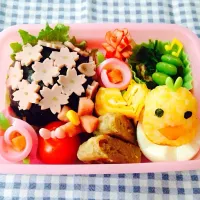 Snapdishの料理写真:ひよこちゃんのお花見弁当